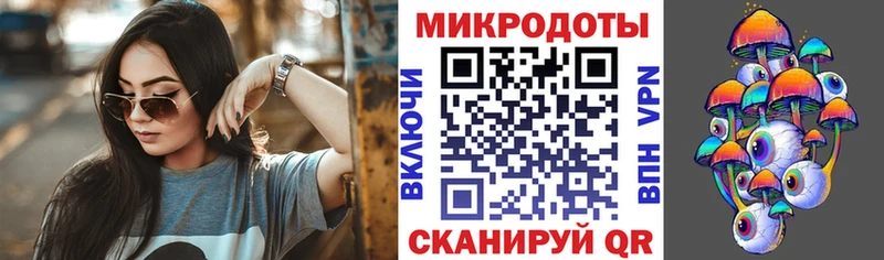 купить наркоту  Гурьевск  Галлюциногенные грибы Psilocybe 